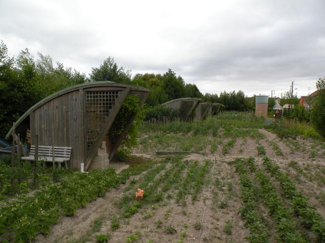  jardins familiaux et leurs abris
